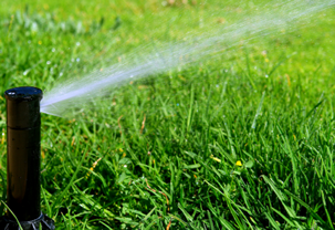 Boring Contractors Irrigation | Residential Irrigating Systems